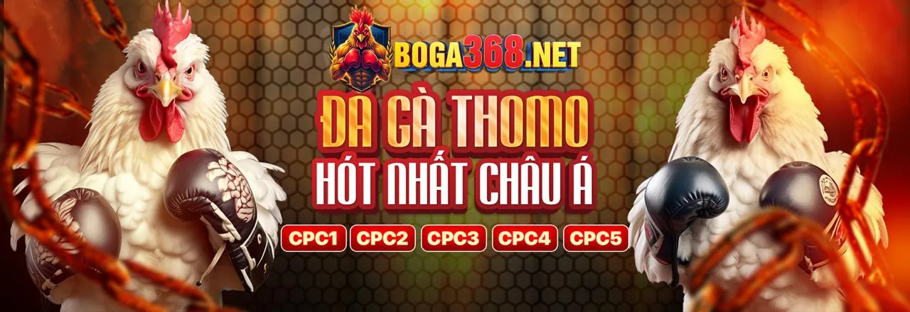 Hình ảnh chính về đá gà trực tuyến trên Awin68 App Android