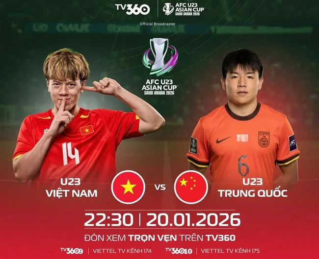 Các loại hình đá gà phổ biến